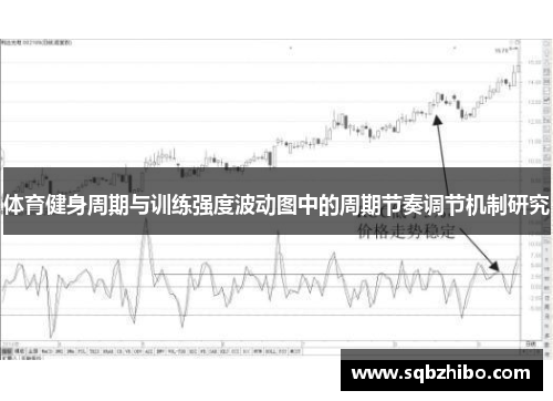 体育健身周期与训练强度波动图中的周期节奏调节机制研究
